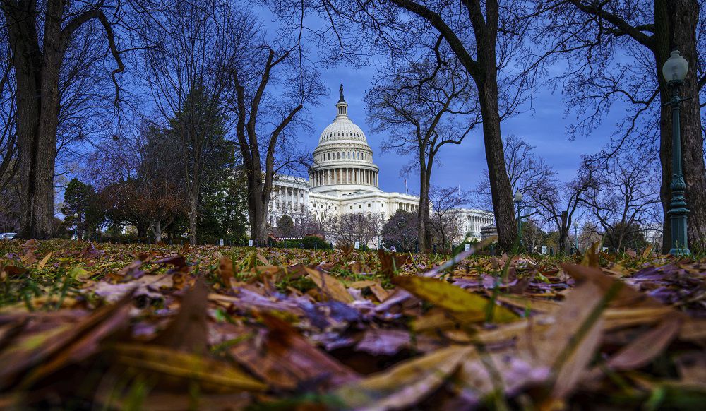 The Capitol